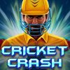 Cricket Crash Slot Review